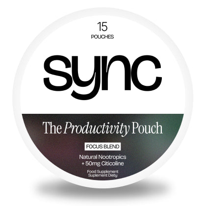 The Productivity Pouch